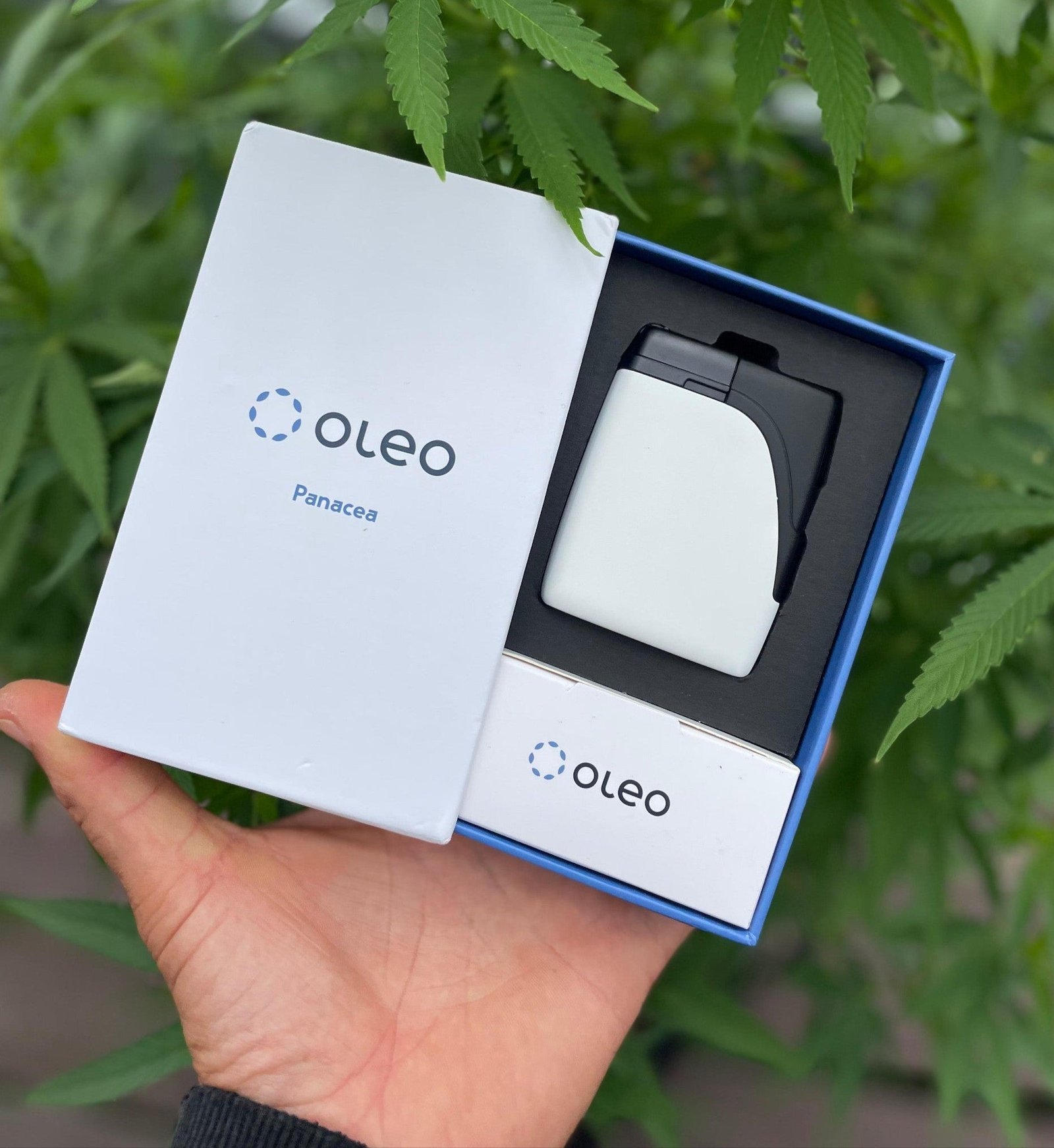 Oleo Panacea Vaporizer - Image 13